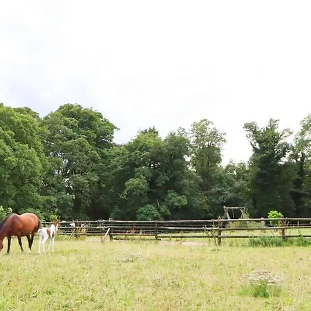 Holiday home Cedar - Hopewell Bristol
