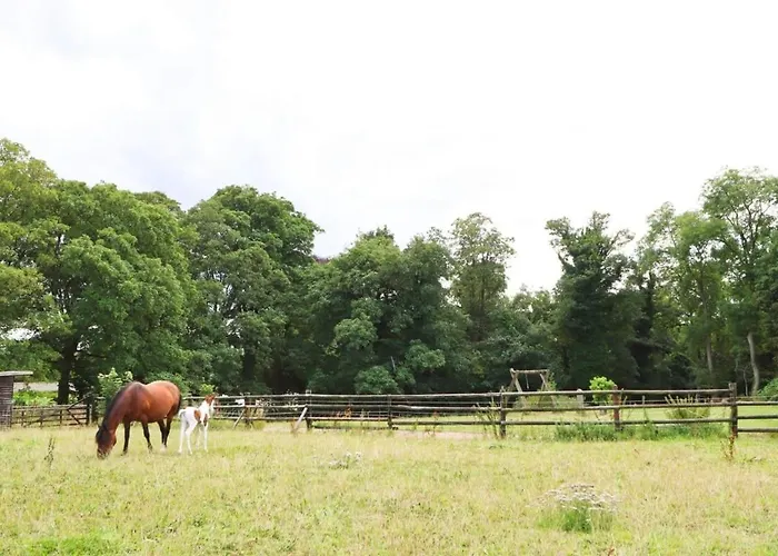 Prázdninový dům Cedar - Hopewell Bristol
