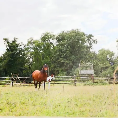 Cedar - Hopewell * Bristol