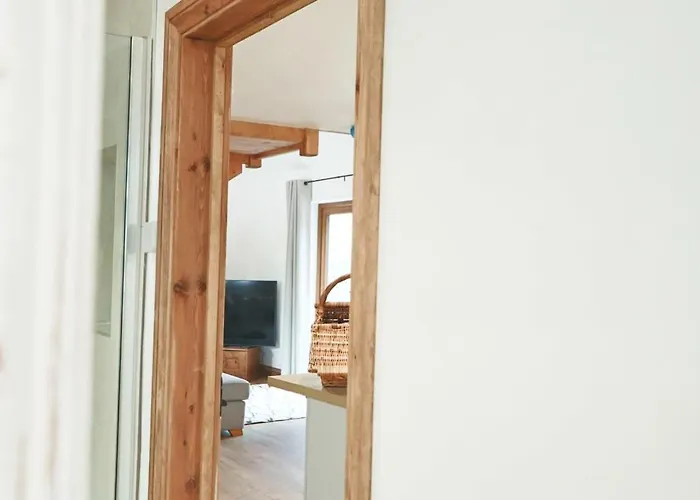 Cedar - Hopewell * ブリストル