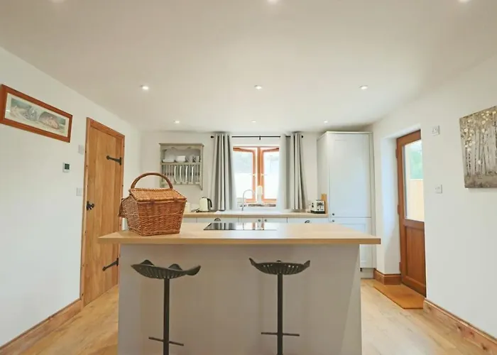 Cedar - Hopewell Bristol