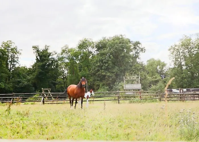 Cedar - Hopewell * Bristol